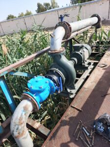 WhatsApp Image 2026-02-12 at 9.51.44 PM (1)